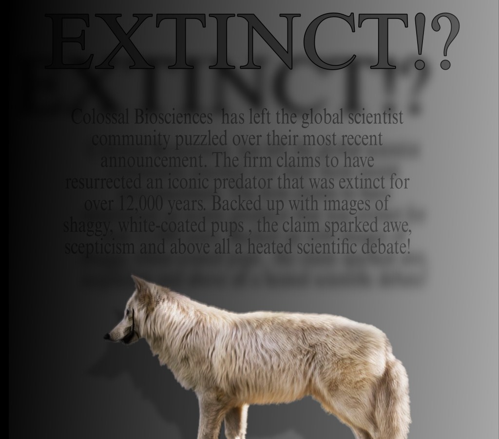 April 10, 2025 -Reviving the long extinct Dire Wolf